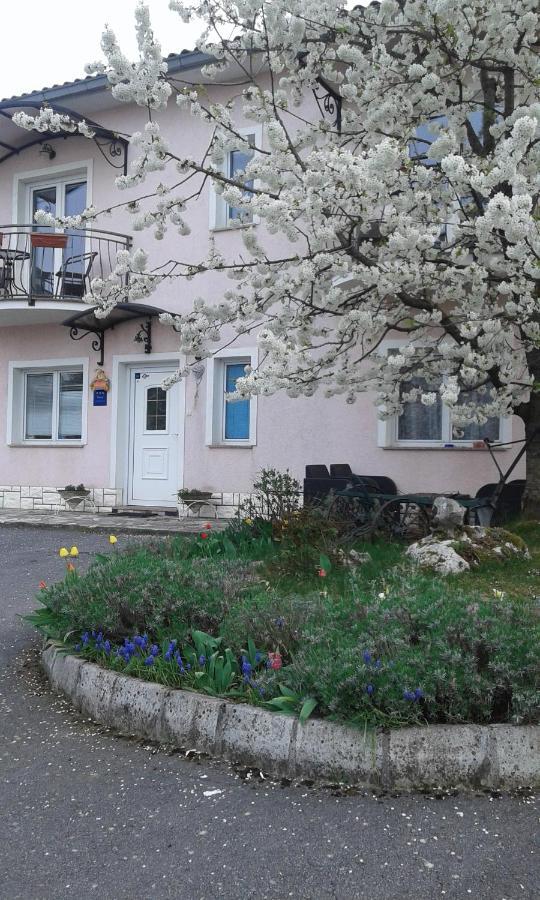 Guest House Surina Rupa Экстерьер фото