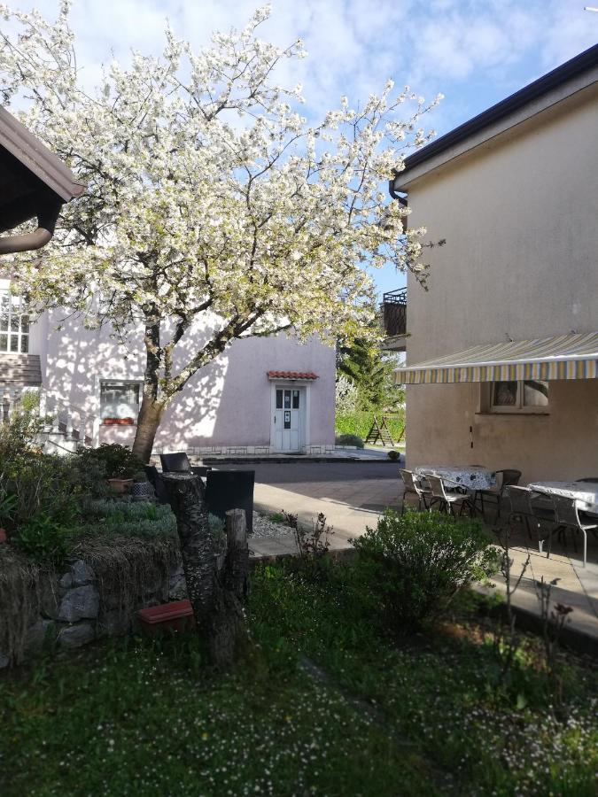 Guest House Surina Rupa Экстерьер фото